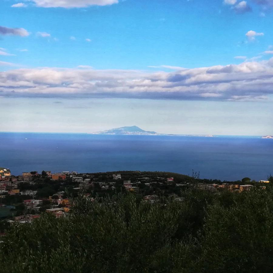 La Mandra, Cottage Tra Gli Ulivi วีโกเอเกวนเซ ภายนอก รูปภาพ