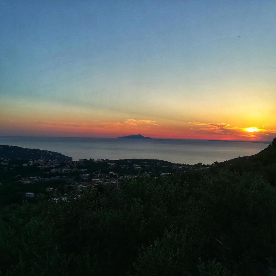 La Mandra, Cottage Tra Gli Ulivi วีโกเอเกวนเซ ภายนอก รูปภาพ